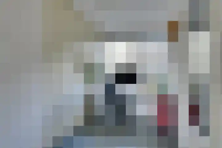 Baron G.A. Tindalplein 24 Amsterdam thumbnail 11