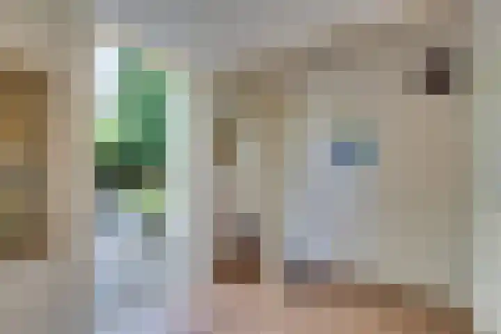 Baron G.A. Tindalplein 24 Amsterdam thumbnail 32