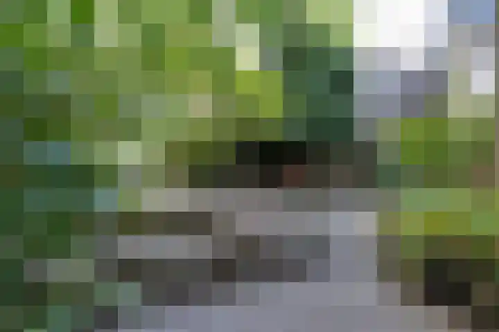 Baron G.A. Tindalplein 24 Amsterdam thumbnail 36