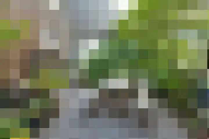 Baron G.A. Tindalplein 24 Amsterdam thumbnail 37