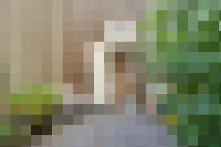 Baron G.A. Tindalplein 24 Amsterdam thumbnail 38