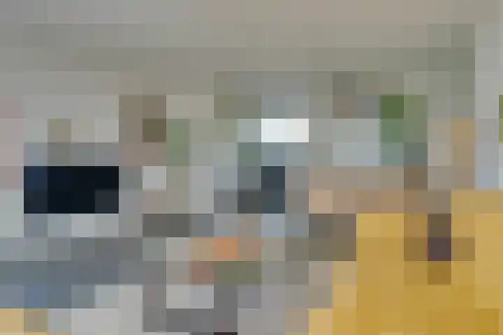 Baron G.A. Tindalplein 24 Amsterdam thumbnail 6