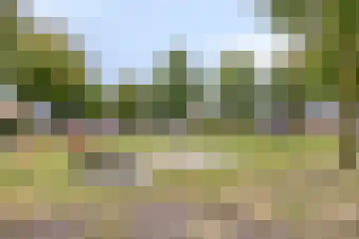 Baron Mackaystraat 18 Bergentheim thumbnail 47