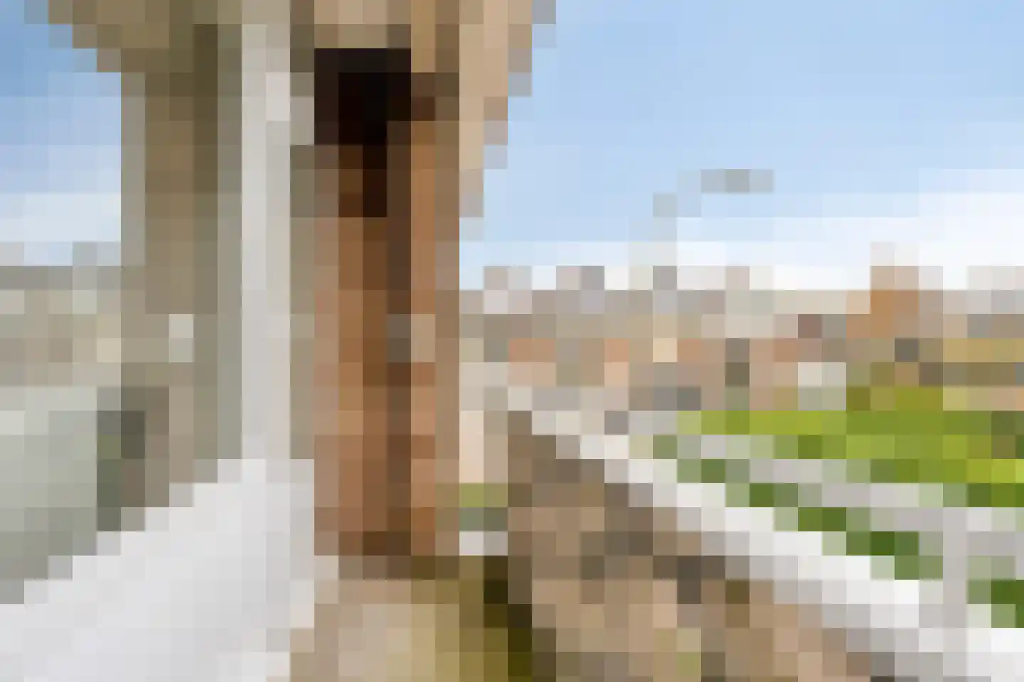 Baron Mackaystraat 4 Ridderkerk thumbnail 30