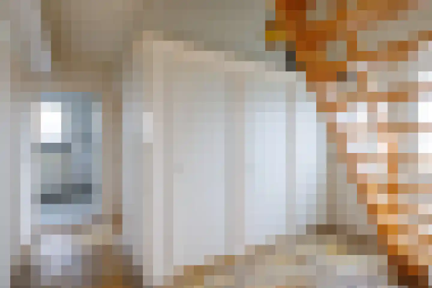 Baron Rengersweg 3 Ballum thumbnail 13