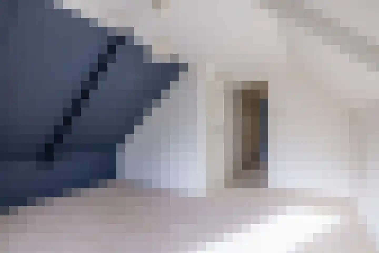 Baron Rengersweg 3 Ballum thumbnail 25