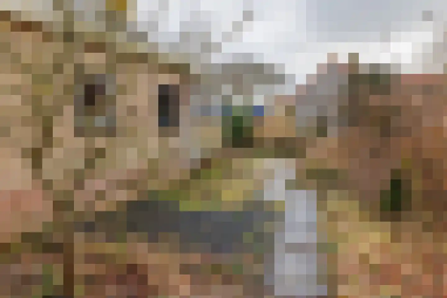 Baron Rengersweg 3 Ballum thumbnail 35