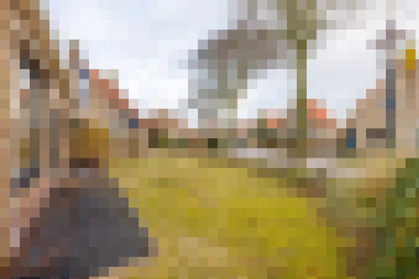 Baron Rengersweg 3 Ballum thumbnail 39