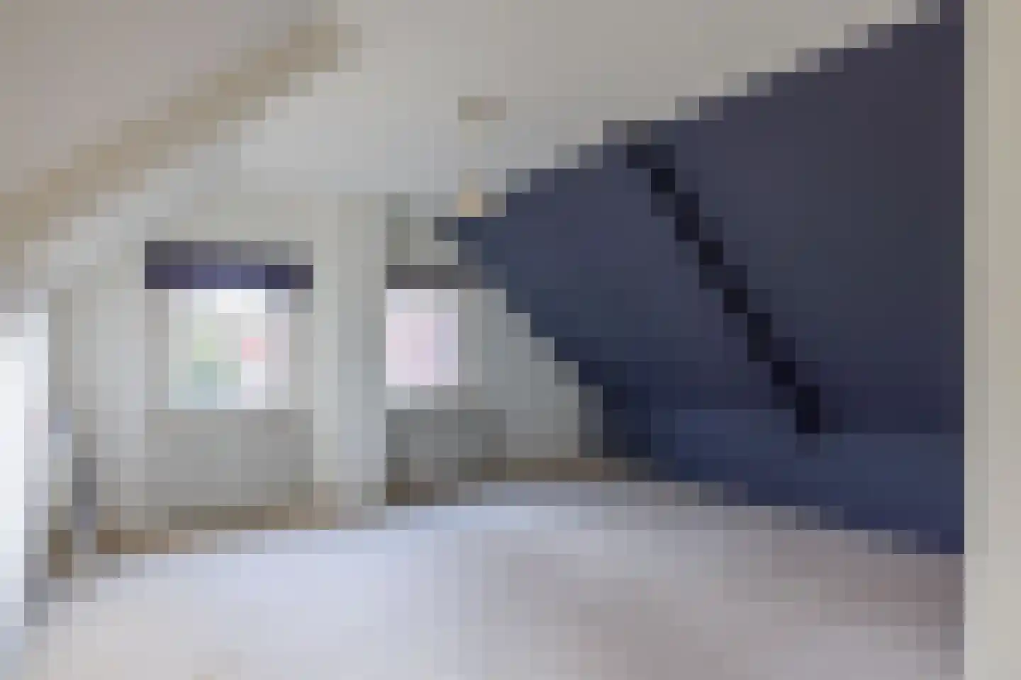 Baron Rengersweg 3 Ballum thumbnail 5