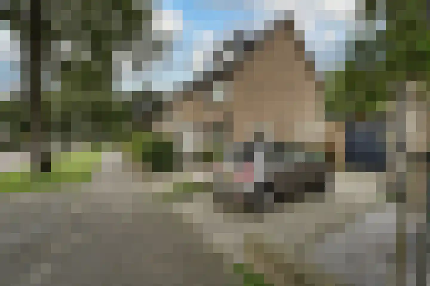 Baron Schimmelpenninck van der Oyelaan 40 Voorschoten thumbnail 33
