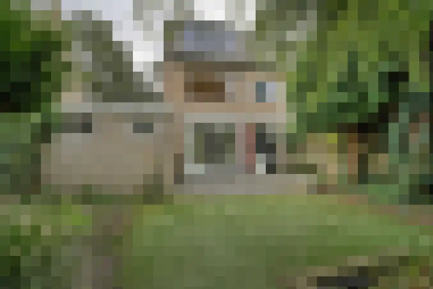 Baron Schimmelpenninck van der Oyelaan 40 Voorschoten thumbnail 44