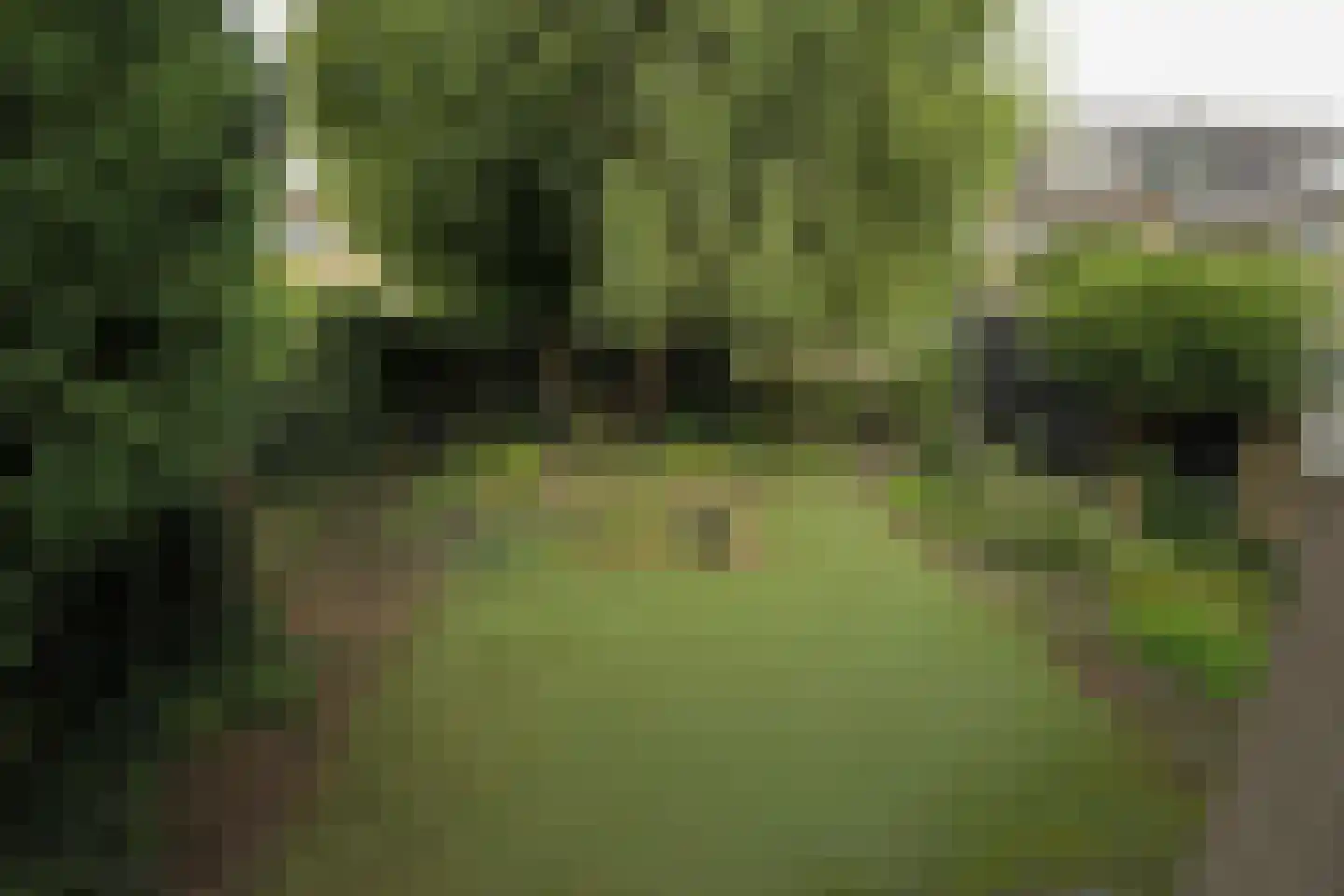 Baron Schimmelpenninck van der Oyelaan 40 Voorschoten thumbnail 47