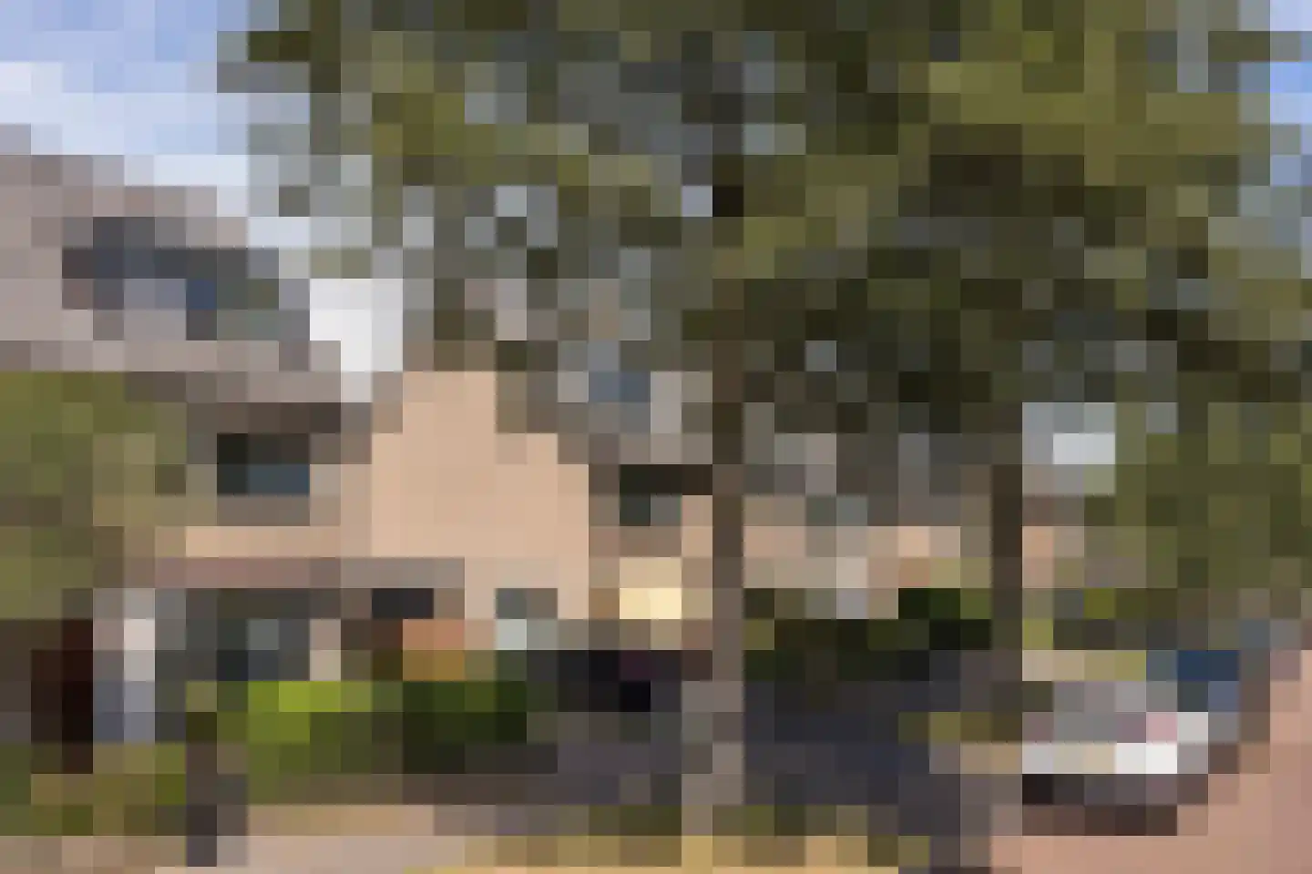 Baron Schimmelpenninck van der Oyelaan 40 Voorschoten thumbnail 5
