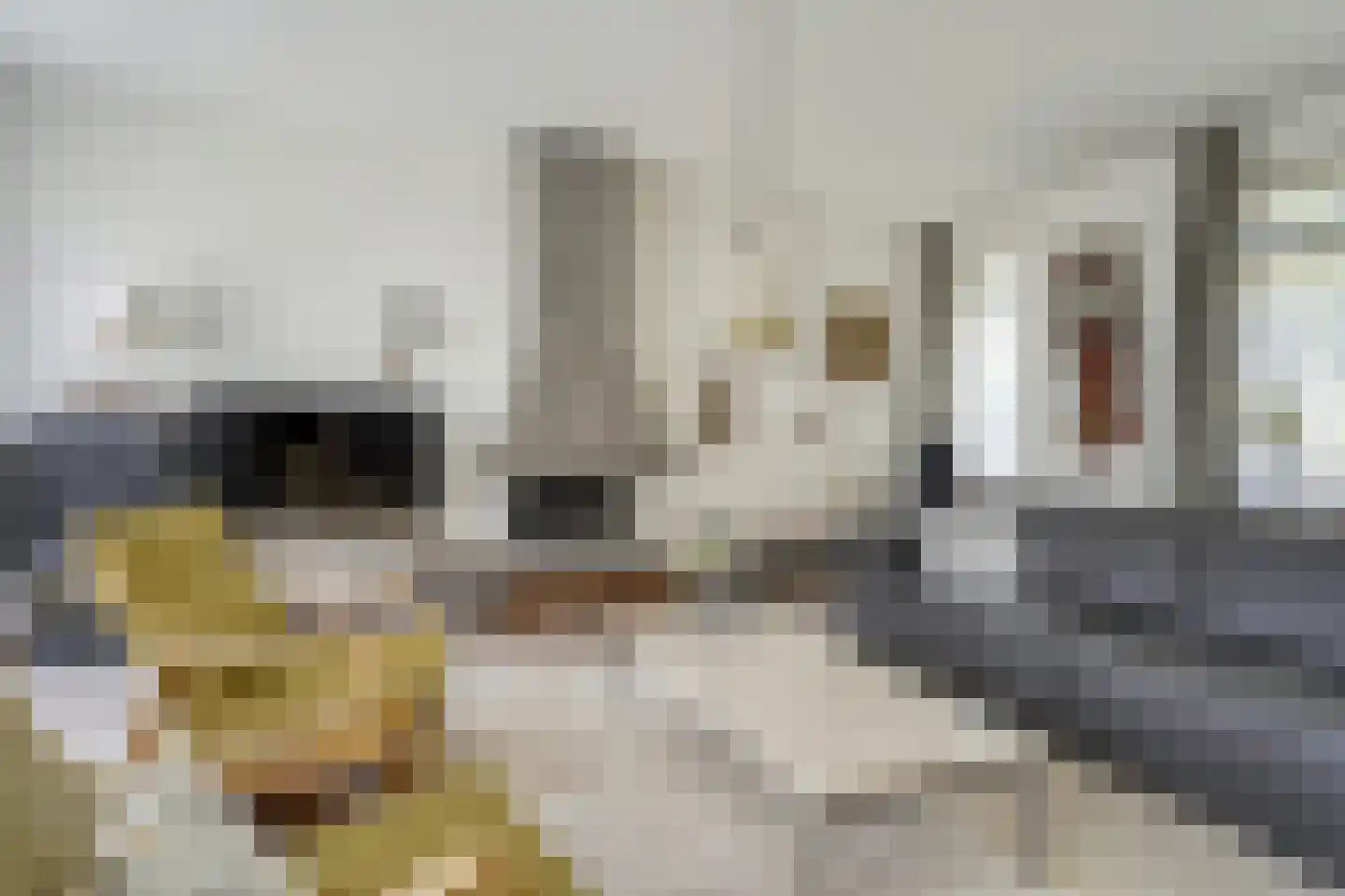 Baron Schimmelpenninck van der Oyelaan 47 Voorschoten thumbnail 12