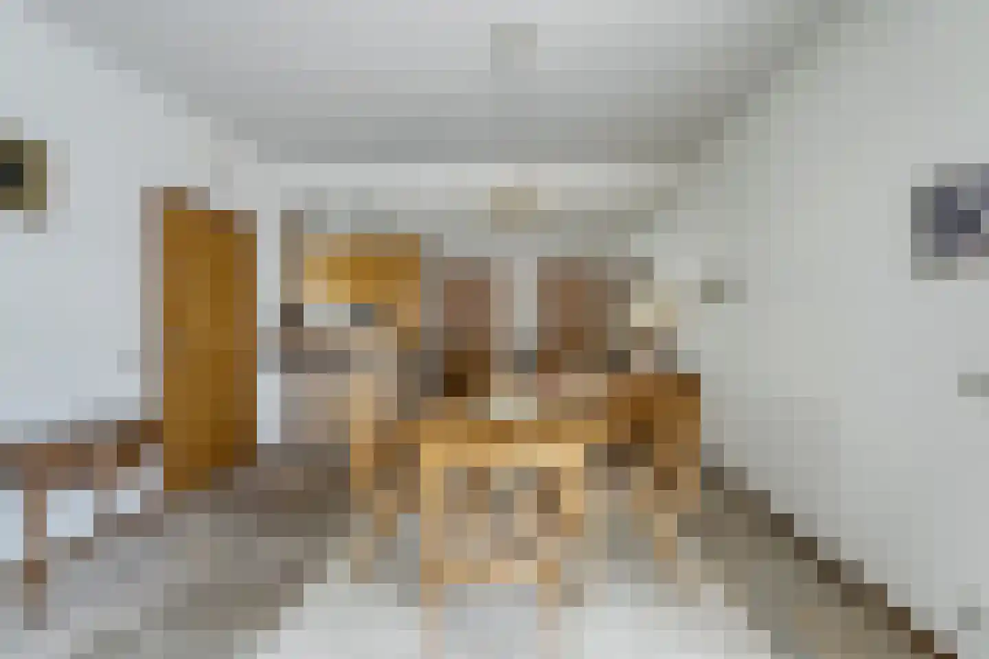 Baron Schimmelpenninck van der Oyelaan 47 Voorschoten thumbnail 13