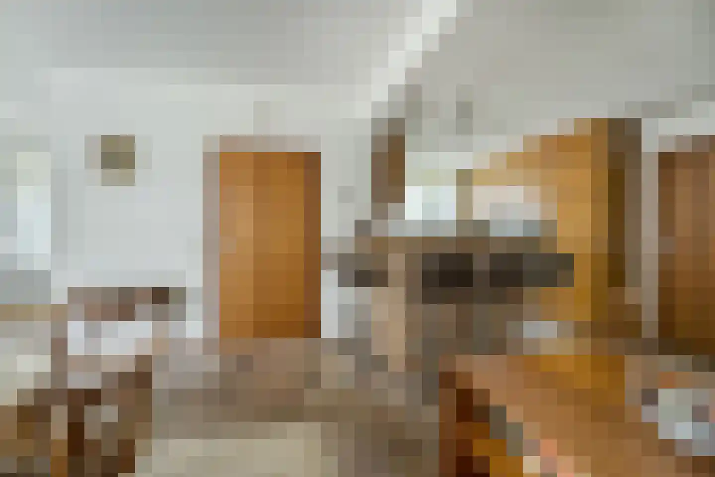 Baron Schimmelpenninck van der Oyelaan 47 Voorschoten thumbnail 18