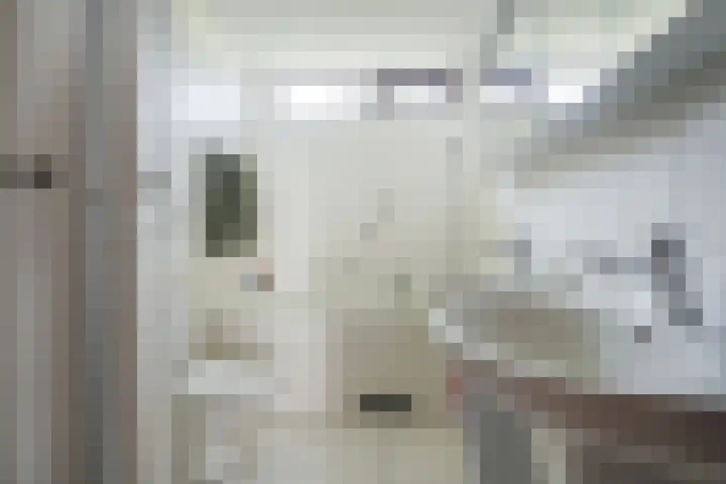 Baron Schimmelpenninck van der Oyelaan 47 Voorschoten thumbnail 29