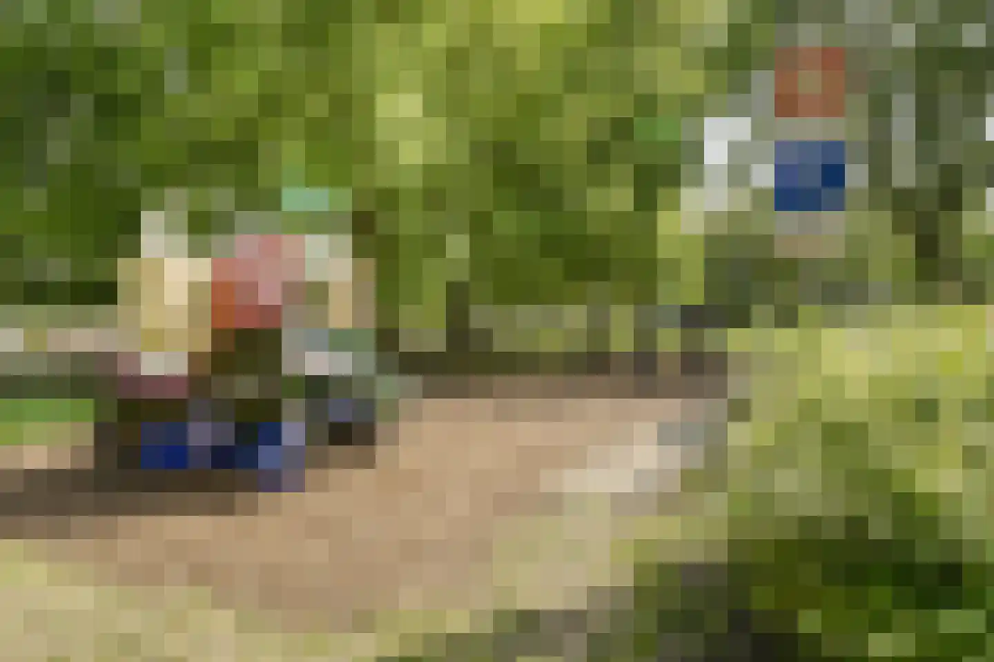 Baron Schimmelpenninck van der Oyelaan 47 Voorschoten thumbnail 37
