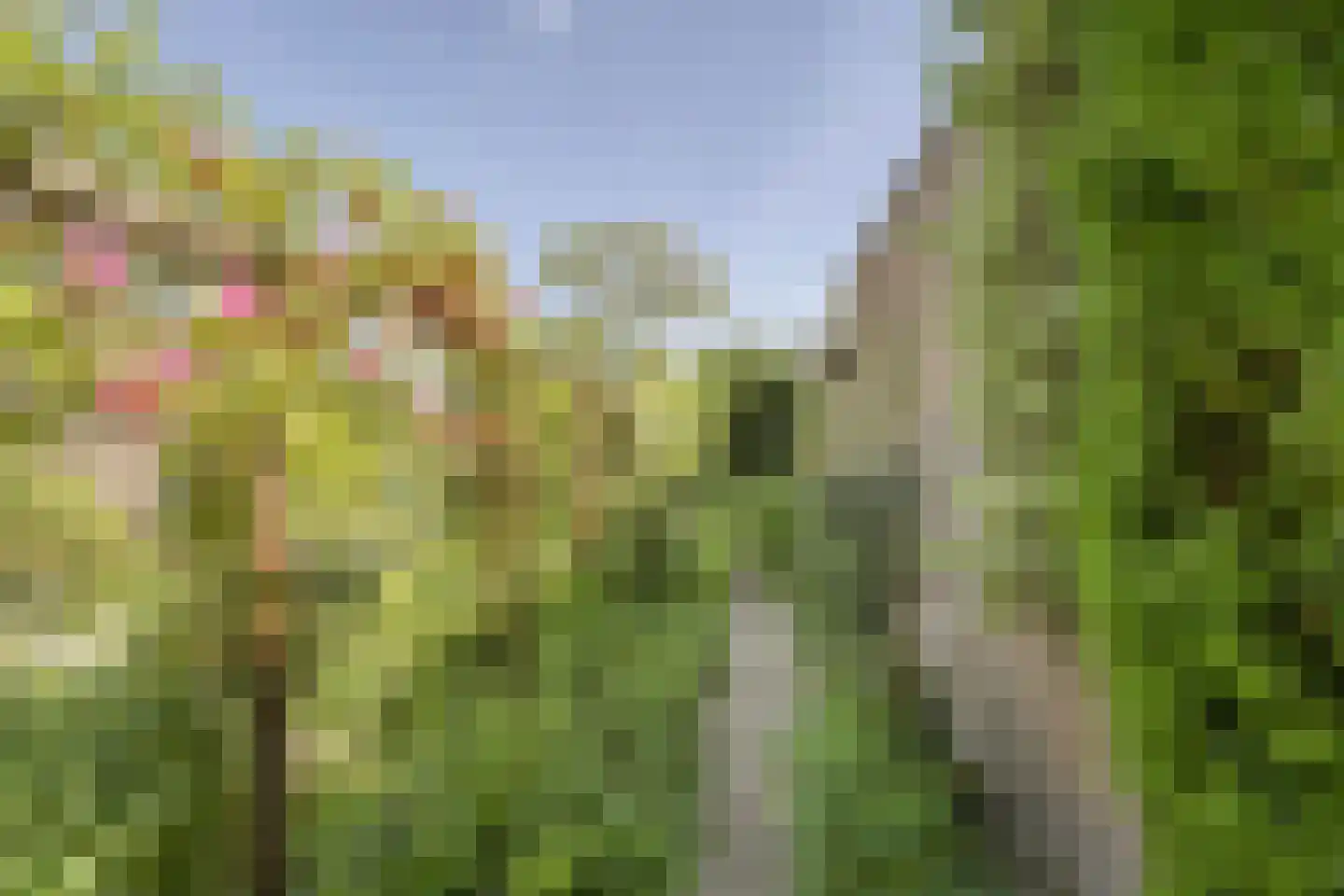 Baron Schimmelpenninck van der Oyelaan 47 Voorschoten thumbnail 7