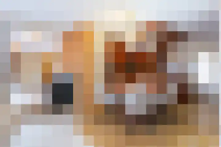 Baron Sloetkade 257 Apeldoorn thumbnail 12