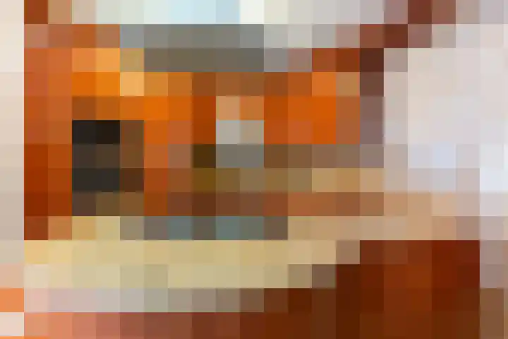 Baron Sloetkade 257 Apeldoorn thumbnail 13