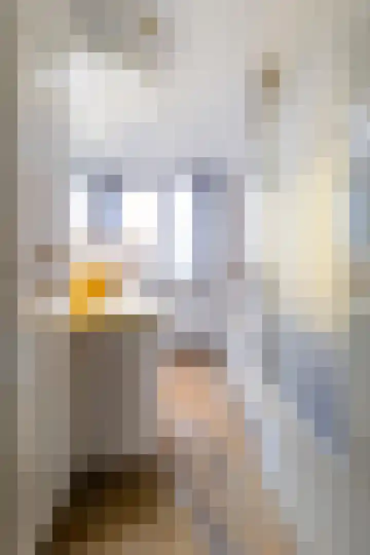 Baron Sloetkade 257 Apeldoorn thumbnail 24