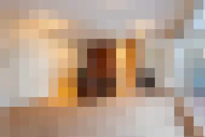 Baron Sloetkade 257 Apeldoorn thumbnail 8