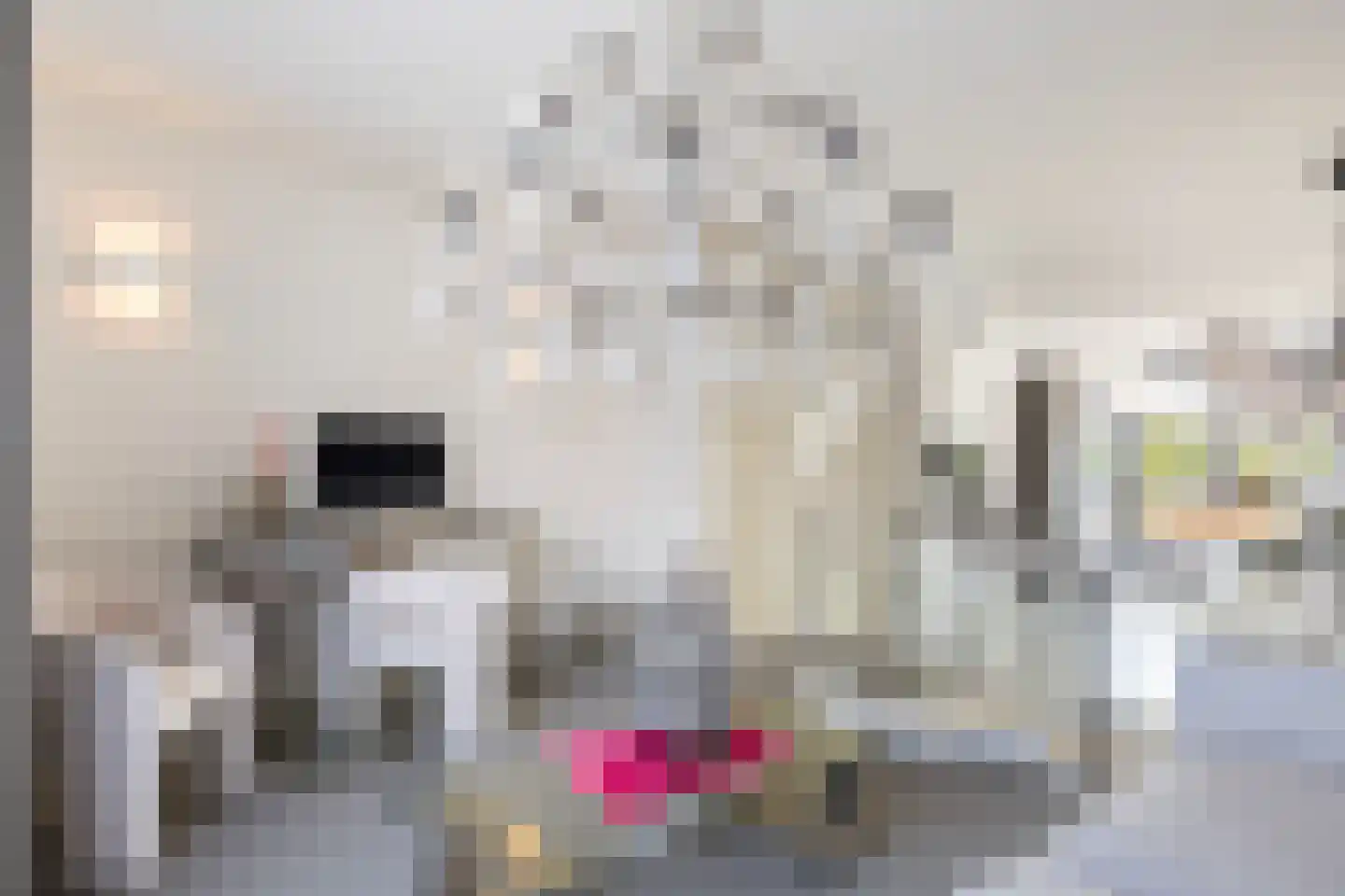 Baron Sloetkade 321 Apeldoorn thumbnail 31