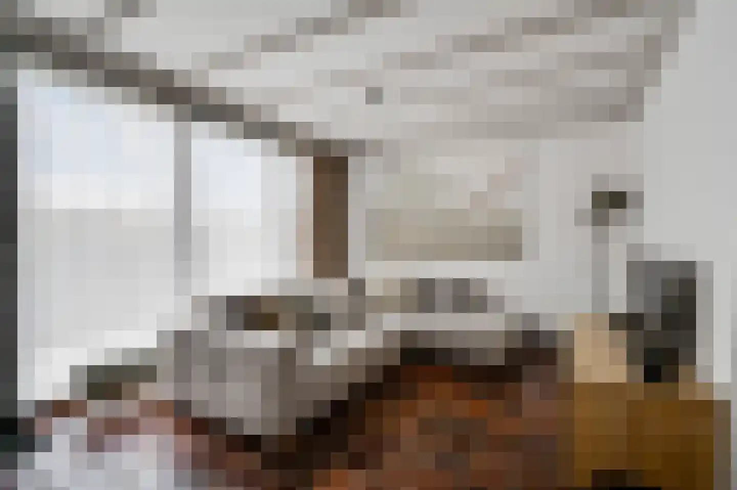 Baron van Aerdtlaan 11 Lottum thumbnail 10