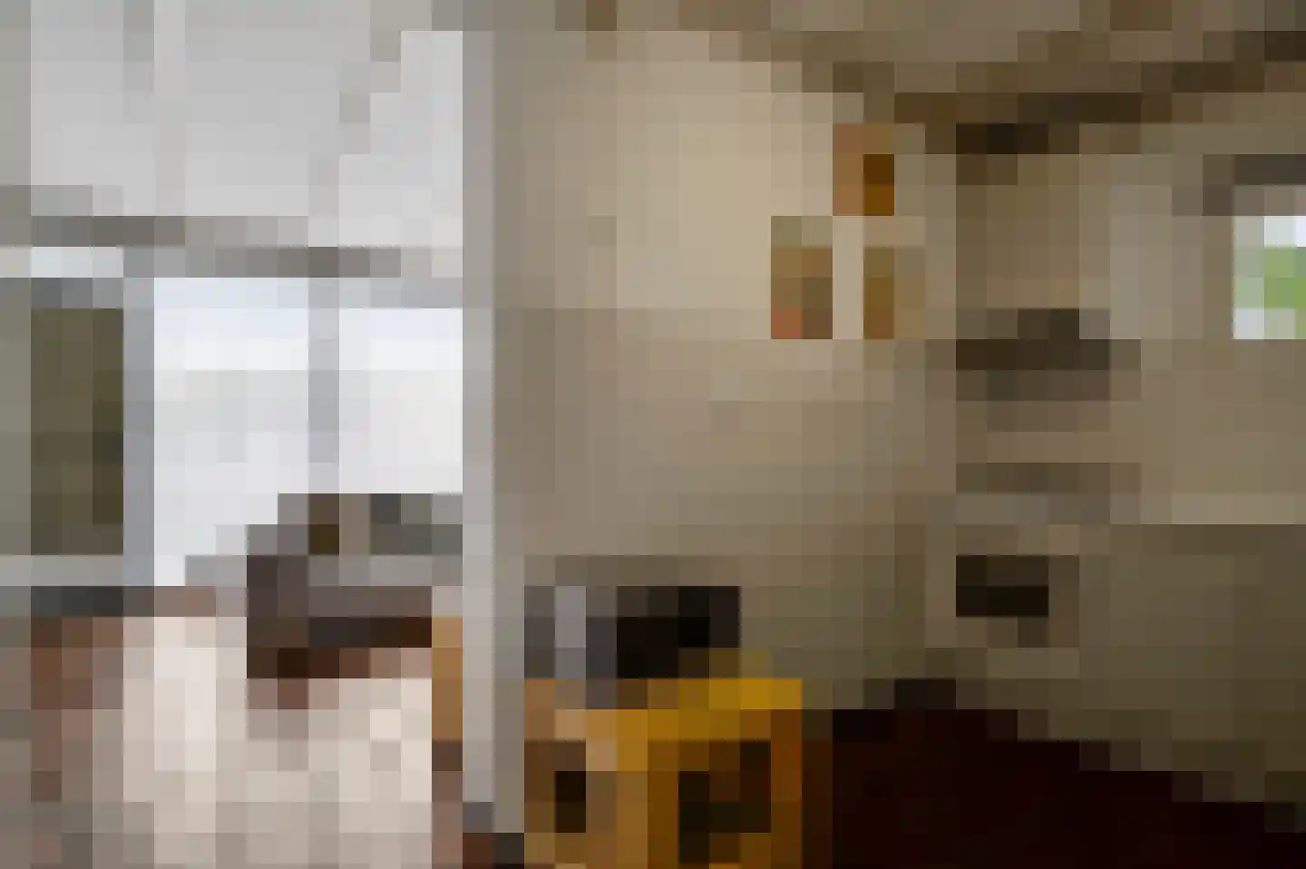 Baron van Aerdtlaan 11 Lottum thumbnail 13