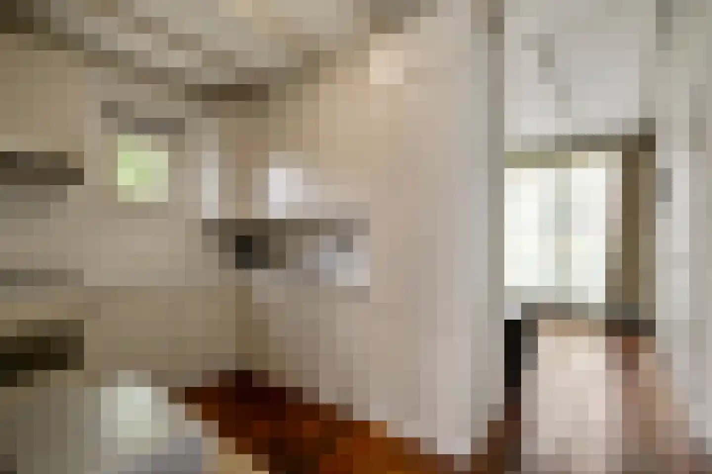 Baron van Aerdtlaan 11 Lottum thumbnail 14