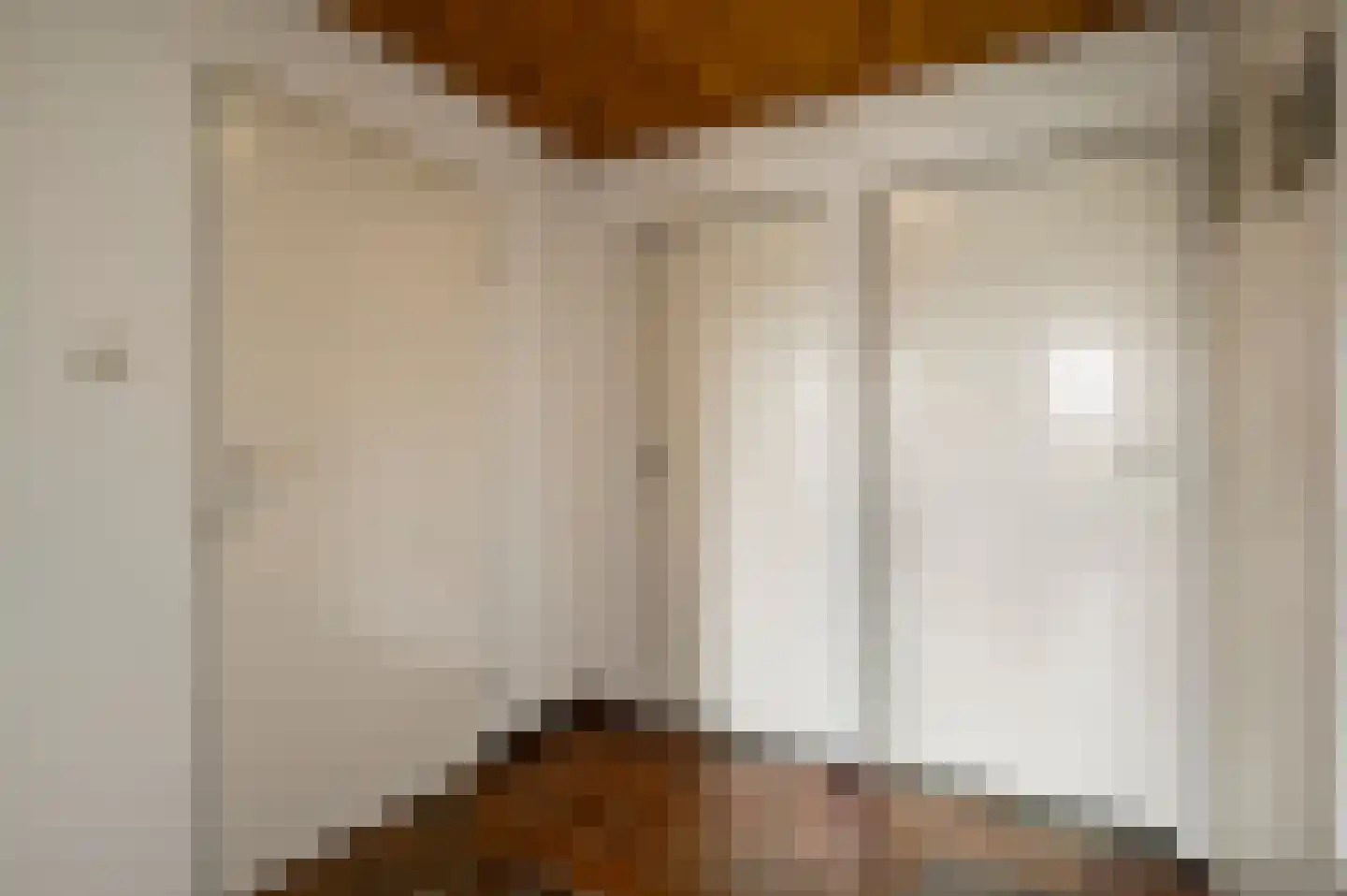 Baron van Aerdtlaan 11 Lottum thumbnail 17