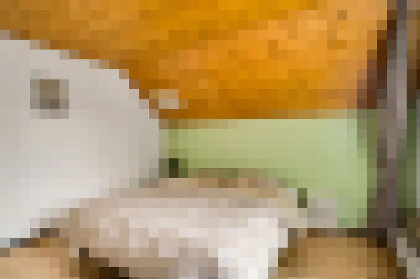 Baron van Aerdtlaan 11 Lottum thumbnail 20