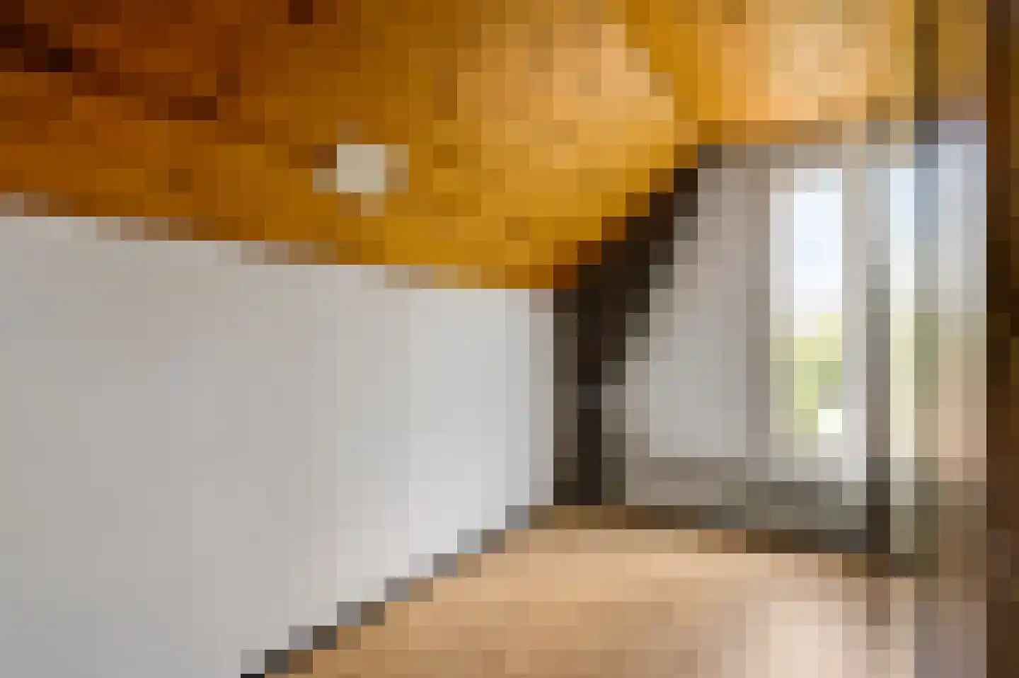 Baron van Aerdtlaan 11 Lottum thumbnail 26