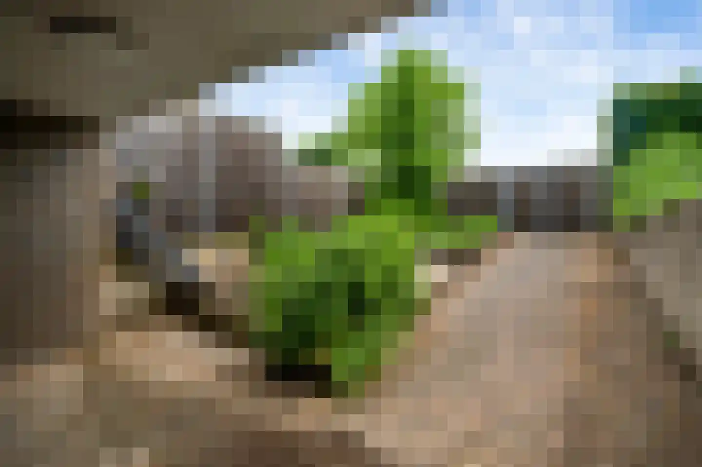 Baron van Aerdtlaan 11 Lottum thumbnail 30