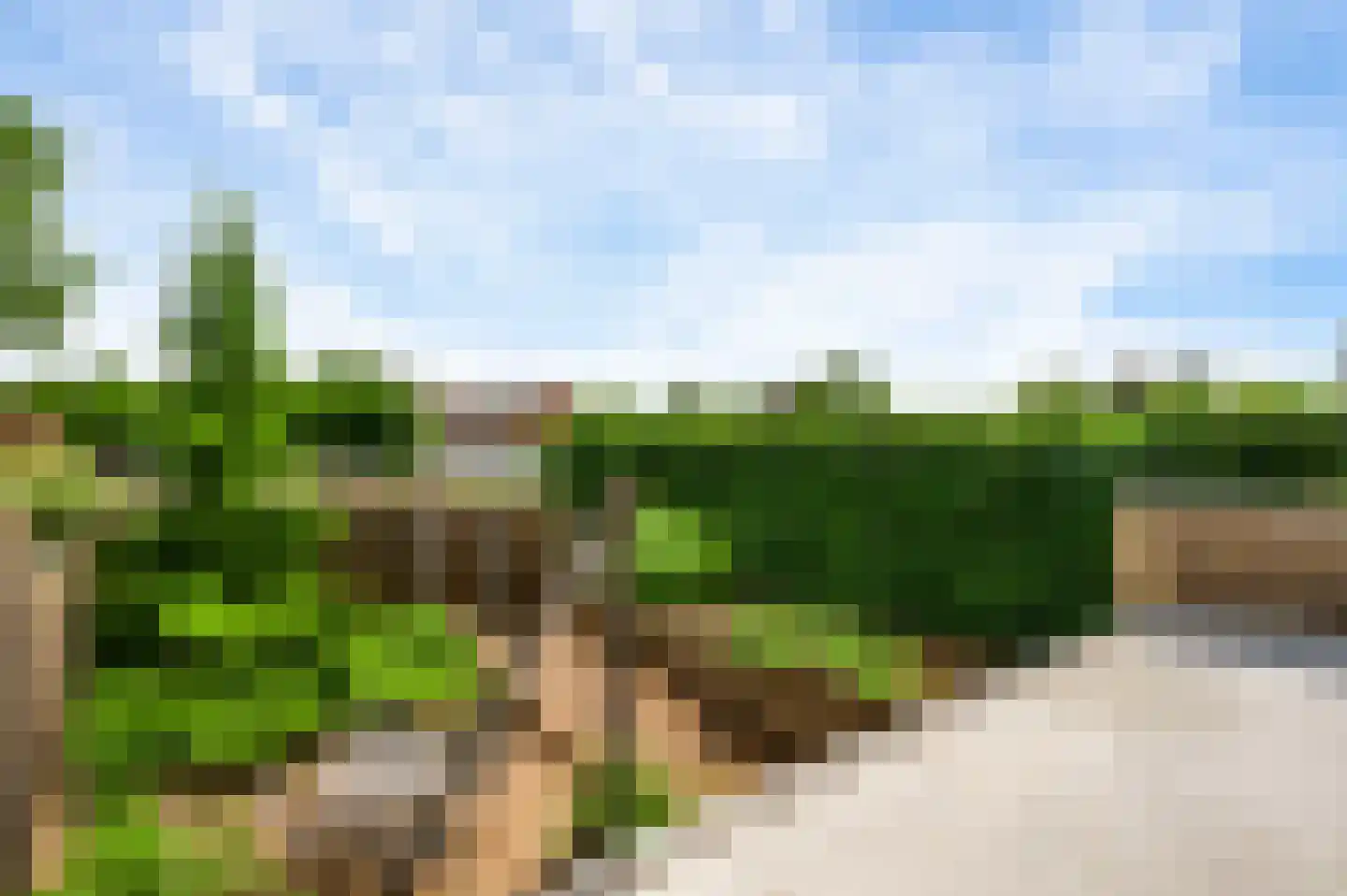 Baron van Aerdtlaan 11 Lottum thumbnail 32