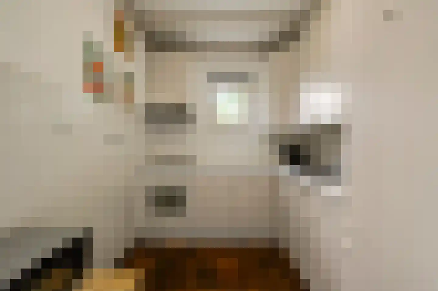 Baron van Aerdtlaan 11 Lottum thumbnail 4