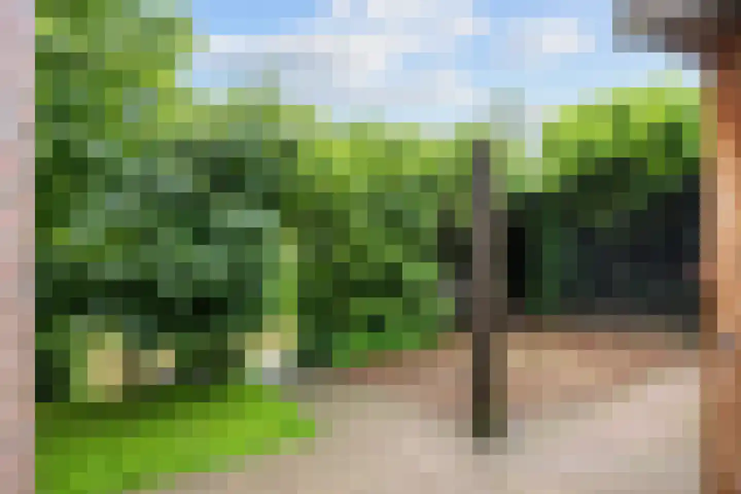 Baron van Asbeckweg 35 Warfhuizen thumbnail 30