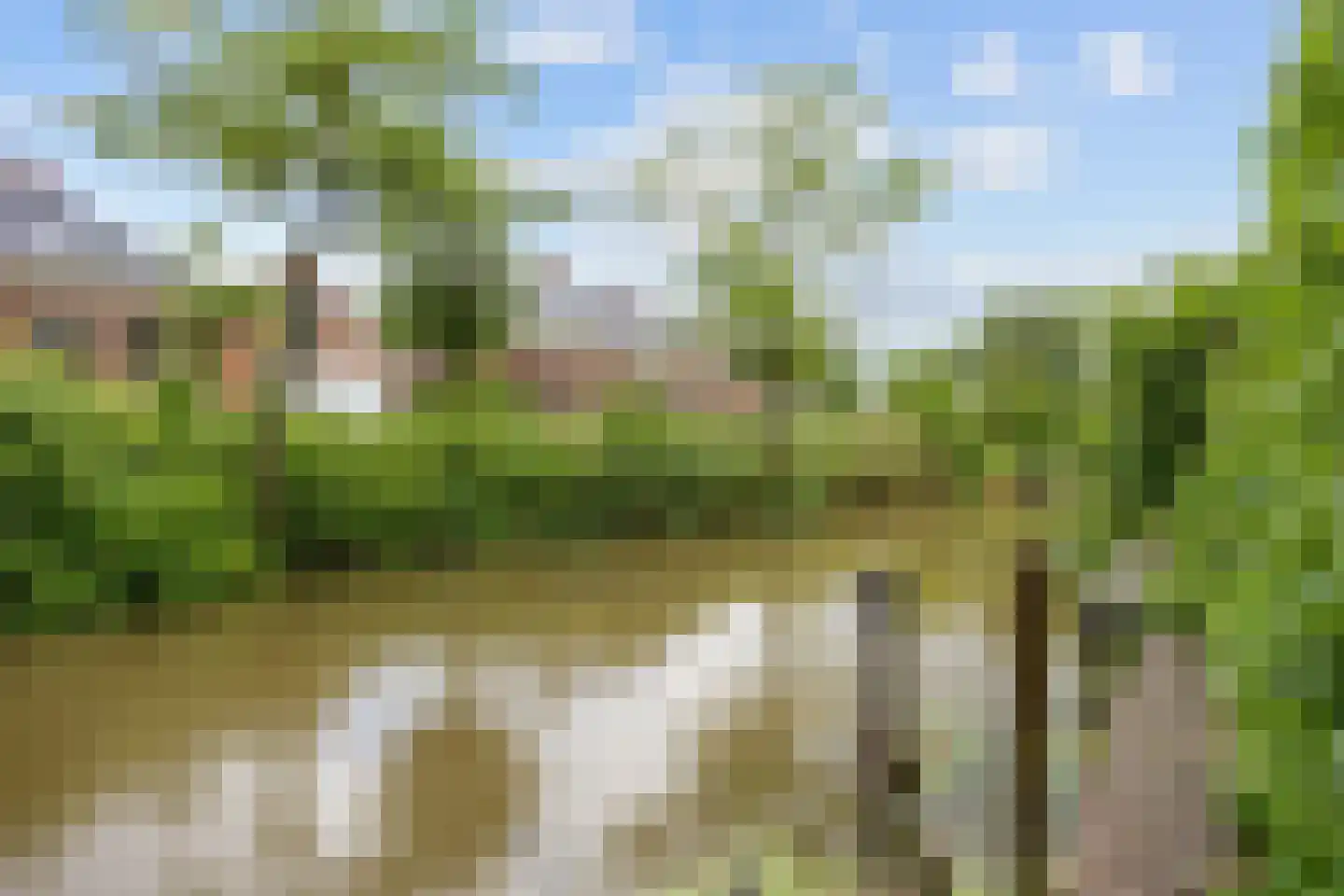 Baron van Asbeckweg 35 Warfhuizen thumbnail 31