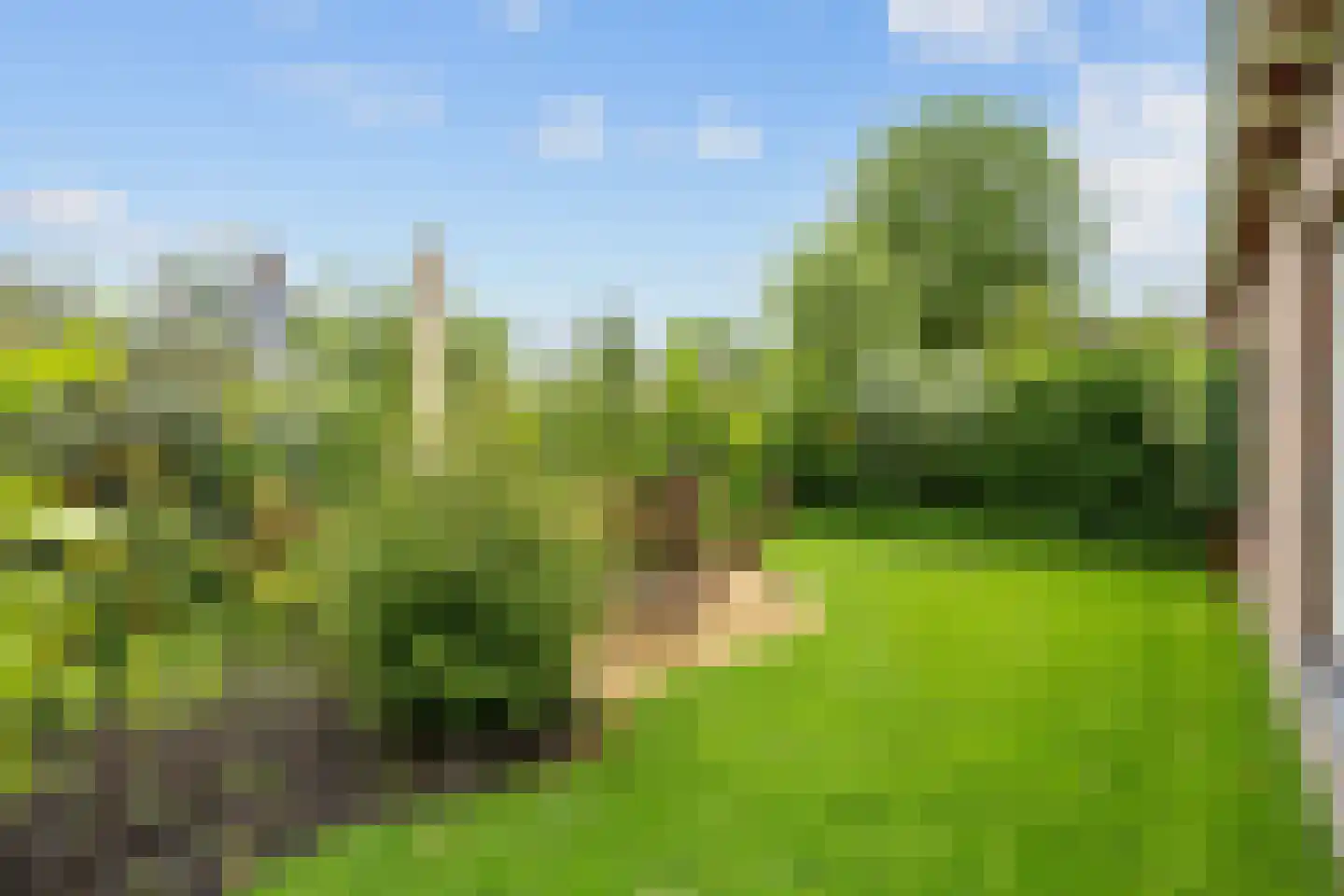 Baron van Asbeckweg 35 Warfhuizen thumbnail 36