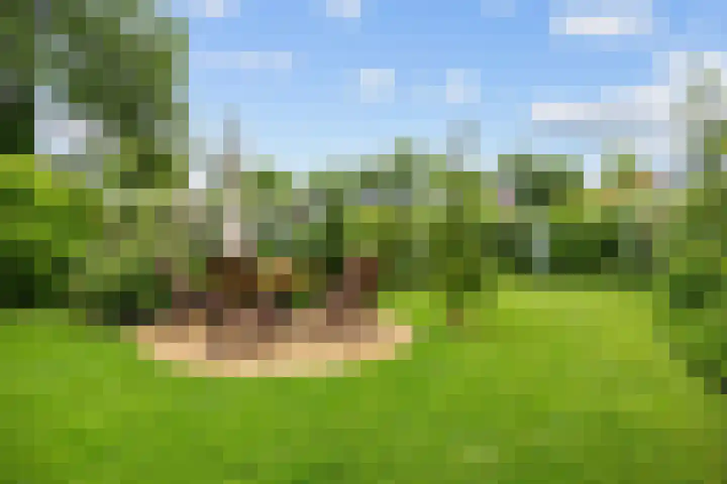 Baron van Asbeckweg 35 Warfhuizen thumbnail 37