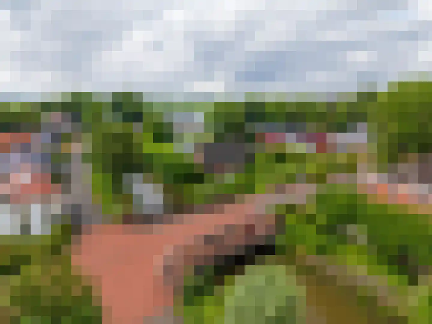 Baron van Asbeckweg 35 Warfhuizen thumbnail 44