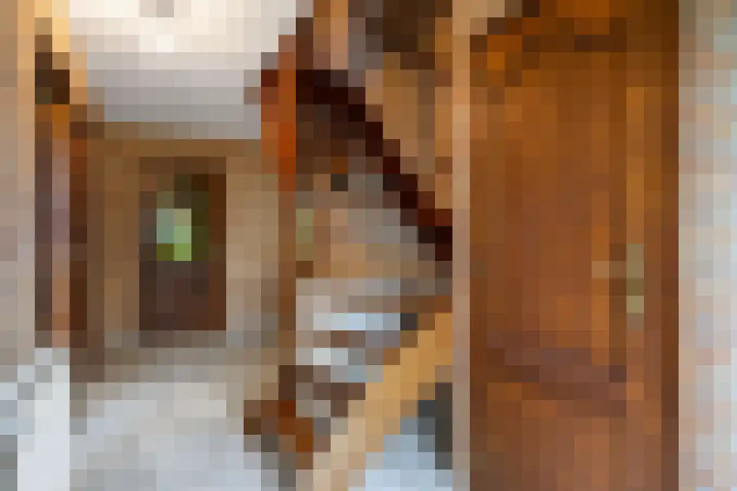 Baron van Asbeckweg 35 Warfhuizen thumbnail 7