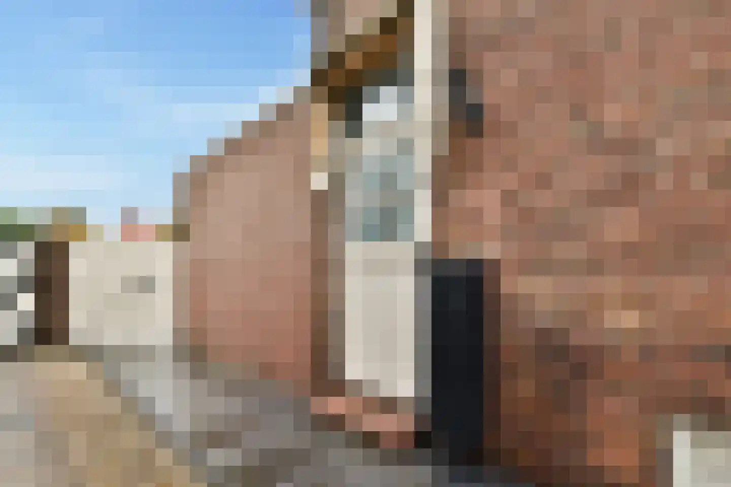 Baron van Boetzelaerlaan 38 Dordrecht thumbnail 10