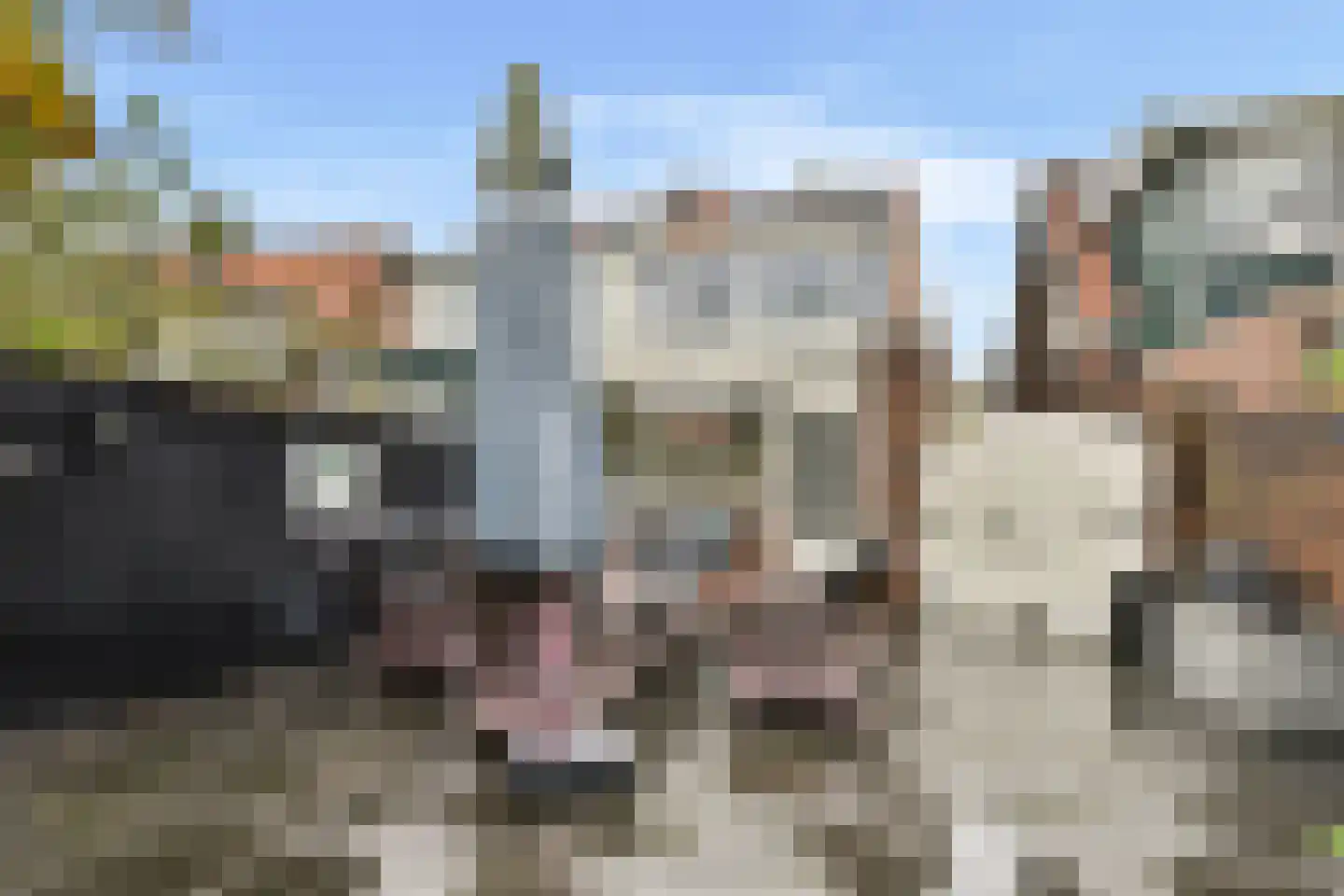 Baron van Boetzelaerlaan 38 Dordrecht thumbnail 29