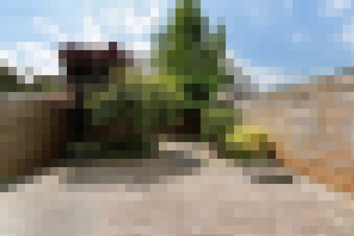 Baron van Boetzelaerlaan 4 Dordrecht thumbnail 21
