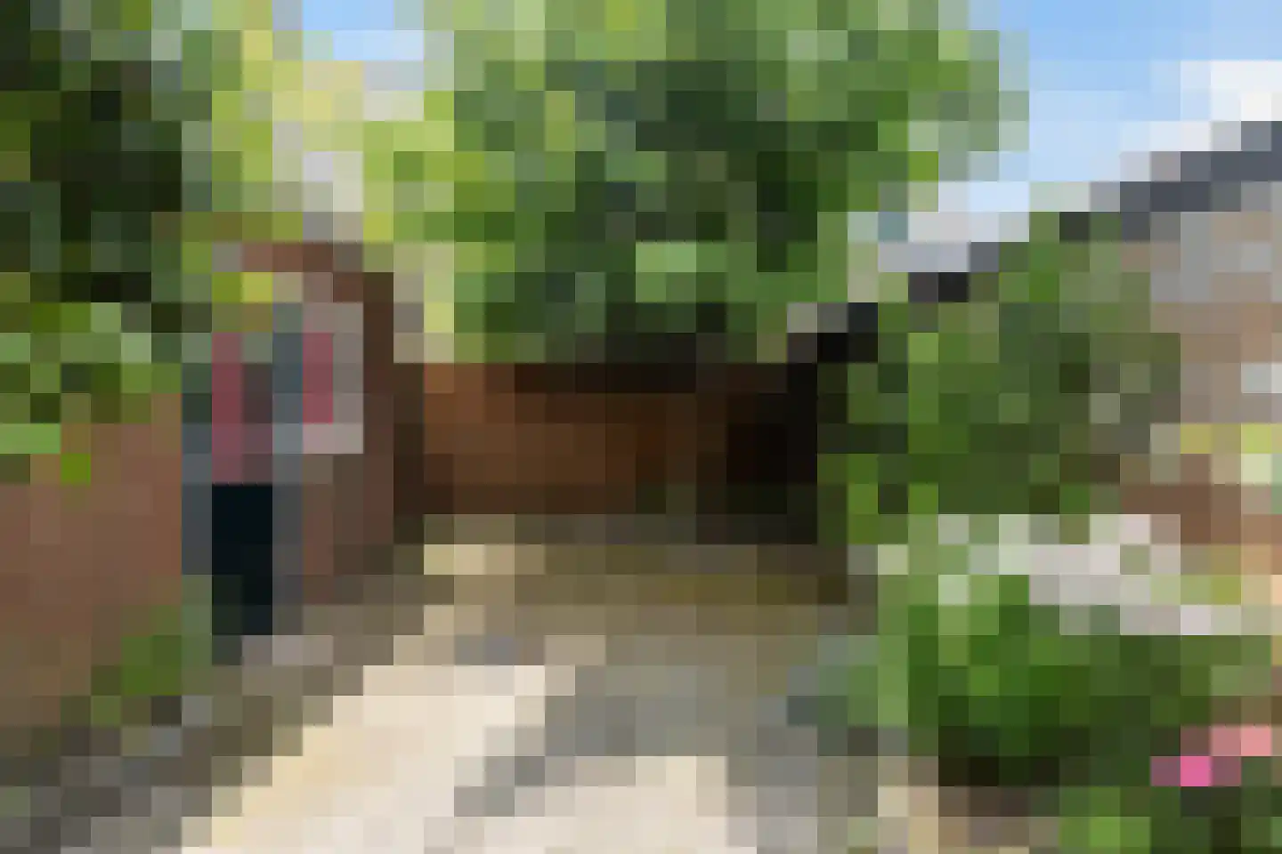Baron van Boetzelaerlaan 4 Dordrecht thumbnail 23
