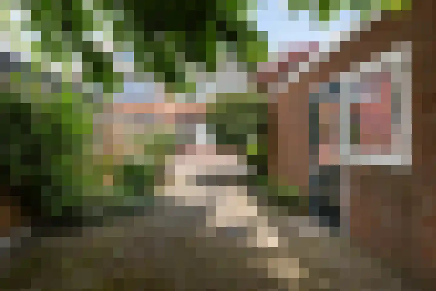 Baron van Boetzelaerlaan 4 Dordrecht thumbnail 24