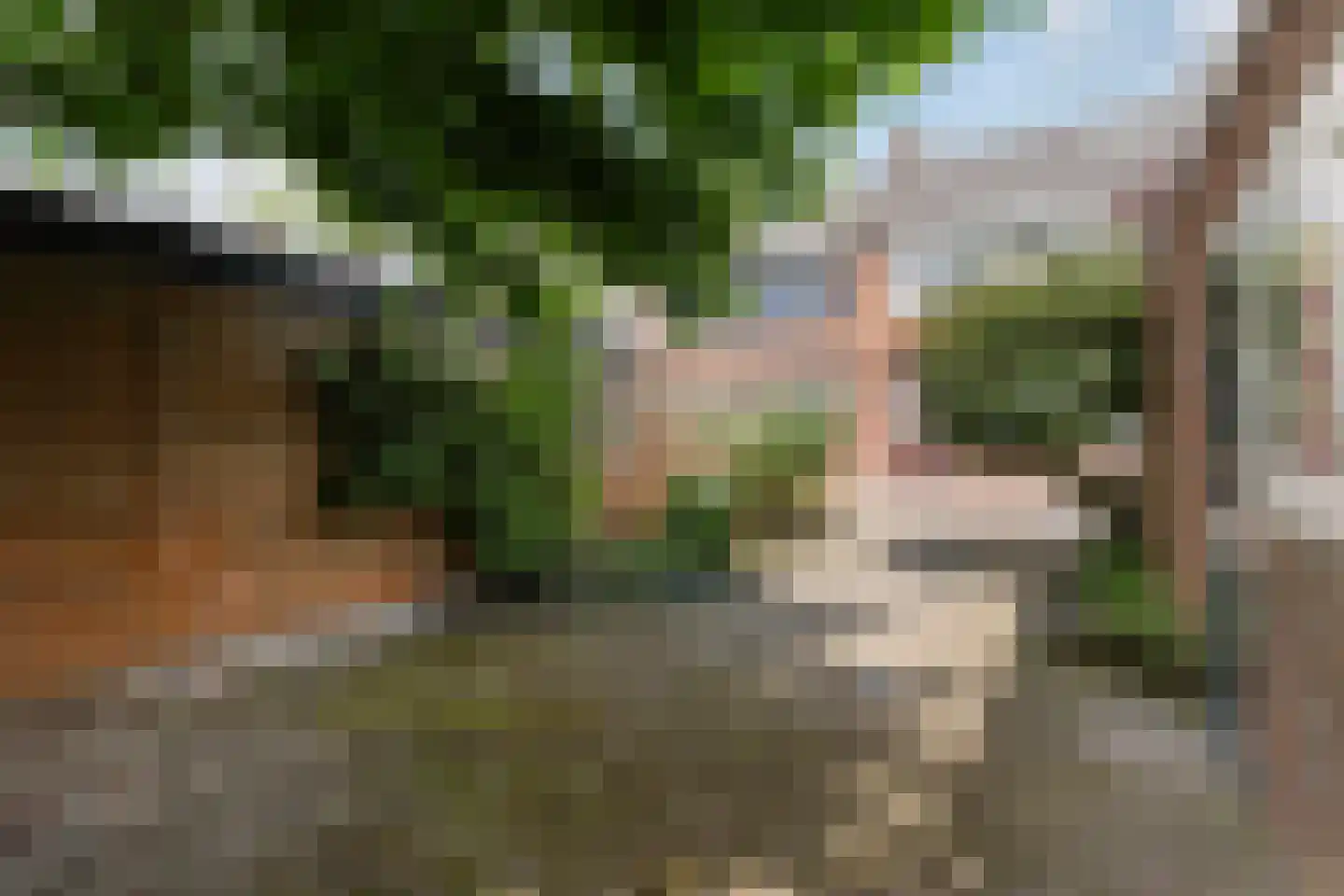 Baron van Boetzelaerlaan 4 Dordrecht thumbnail 5