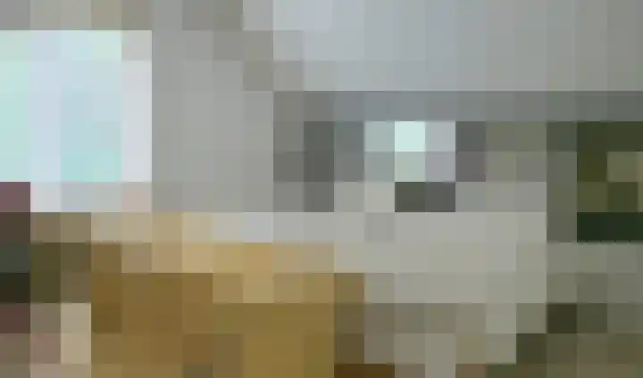 Baron van Brakelllaan 3 Doorwerth thumbnail 17